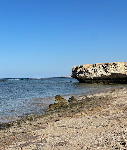 شاطئ الزعيم - الوجه -