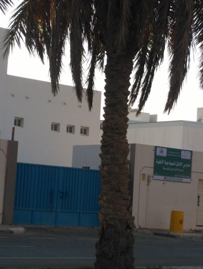 آفاق المدرسة النموذجية متوسطة - Al Bukayriyah 52729