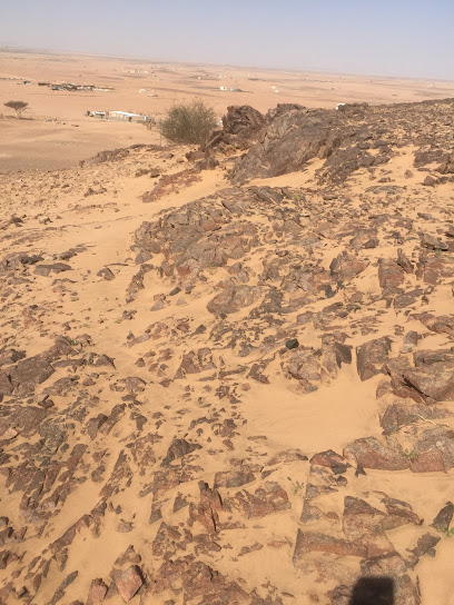 براكاشيه - Saudi Arabia|Afif 17525|3480