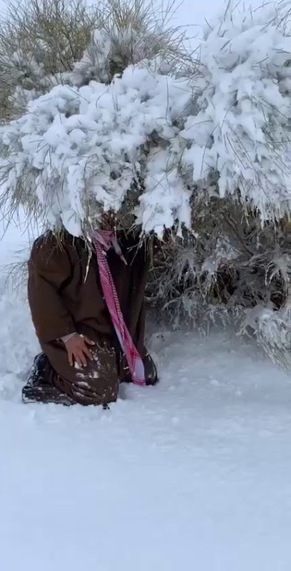 المعالجة ام عبدالله القحطاني - Saudi Arabia|4379، مخطط الموسى، خميس مشيط 62463 8287،