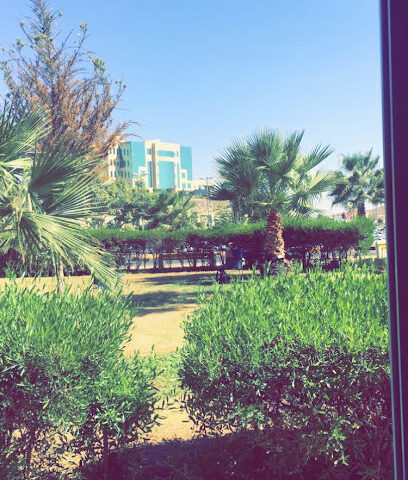 كلية الهندسة - أبها - +966 17 241 8816