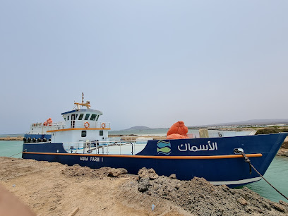 الشركة السعودية للأسماك -  - +966 17 240 0441