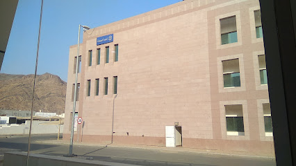 كلية الصيدلة جامعة طيبة - المدينة المنورة - +966 14 861 8888
