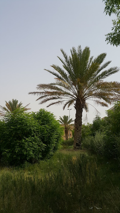 حديقة شرق الموسى - Saudi Arabia|Khamis Mushait 62463|مخطط الموسى|4845