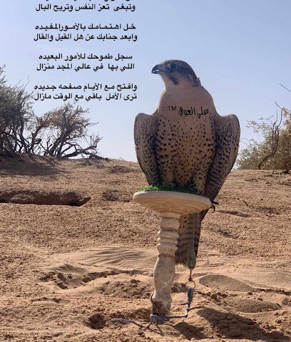 مدعى العوفي القاع - الرس -