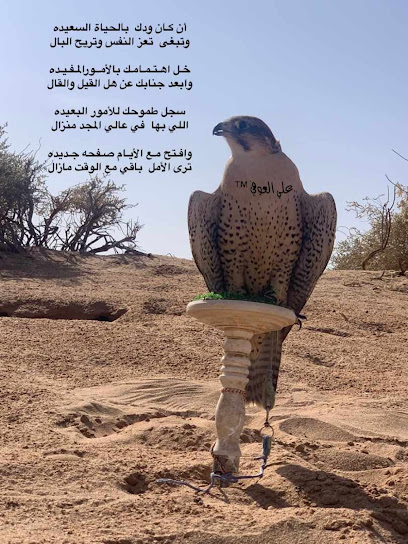مدعى العوفي القاع - Saudi Arabia|Ar Rass 58899|القاع البارد|XJ73+W8Q