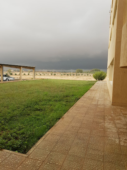كلية الصحة العامة والمعلوماتية الصحية - Saudi Arabia|Al Bukayriyah 52741|King Abdulaziz Rd