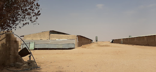 مزرعة بيض الرياض - المزاحمية -