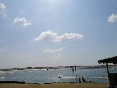 شركة جازان للتطوير - جازان -