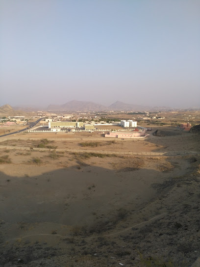 شركة المراعي - Saudi Arabia|63424|211