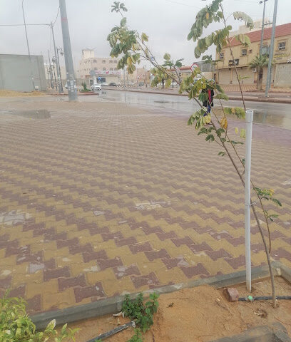حديقة الريان - الريان -