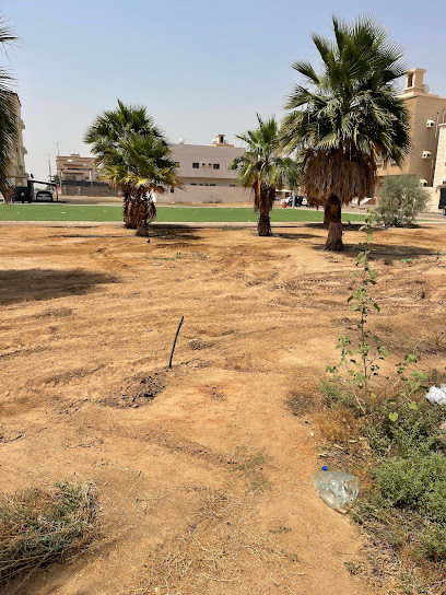 حديقة الصفا الشرقي العامة - Rabigh 25754