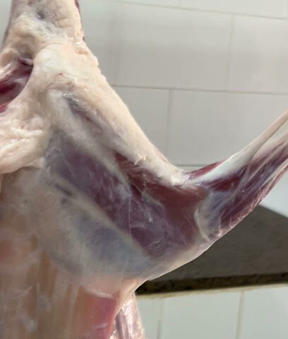 مرتب الطلعة - نجران - +966 50 908 5307