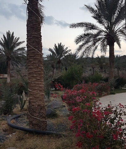 جلسات منتزه السمراء العائليه - يشيد -