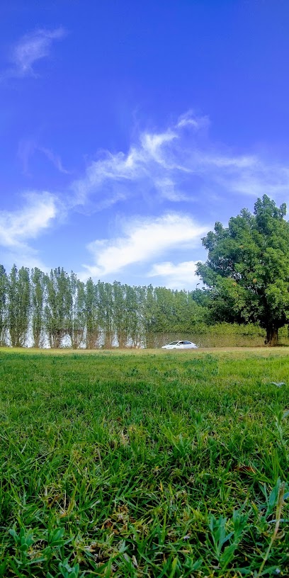 بقيق - Saudi Arabia|Buqayq 33264|Unnamed Road|WH8J+4MQ