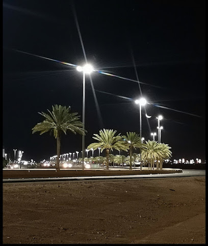 دوريات امنية بحائل - Hail 55211