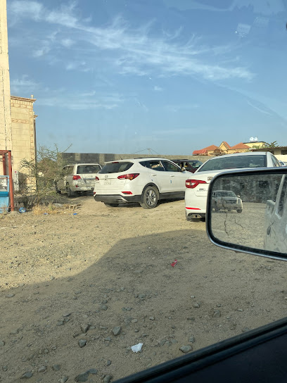 خبيزة - Saudi Arabia|67977