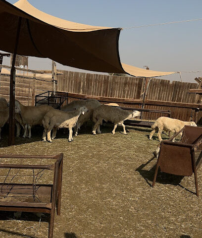 Sendan Laydownyard - ينبع -