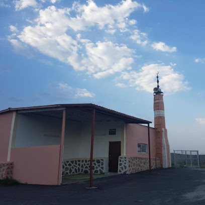 مسجد الرحمة - الفراعه -