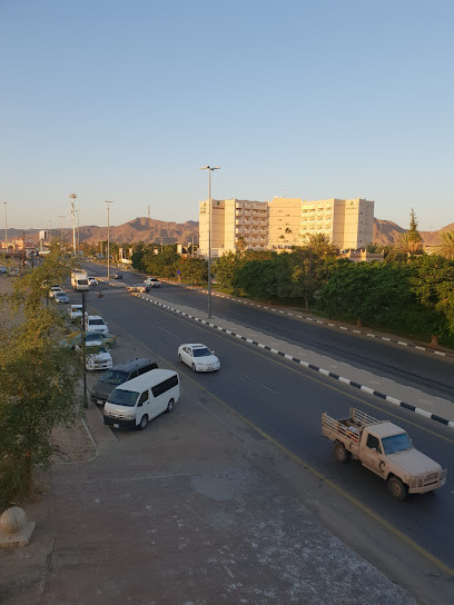 مركز ايطال الطبى - Saudi Arabia|Najran 66261|9152