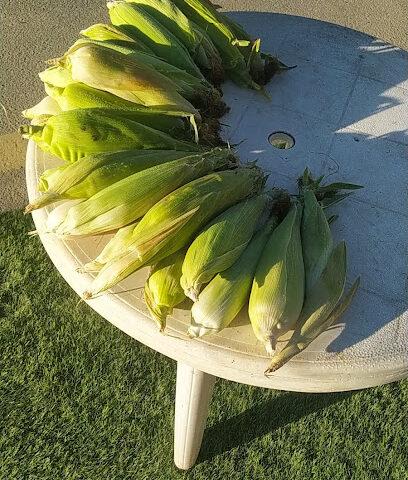 ستول الشاي - الطائف -