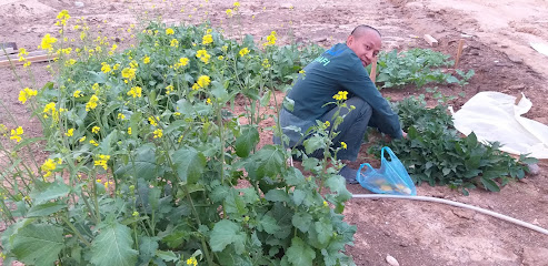 شركة الصافي دانون المحدودة -  - +966 11 874 6748