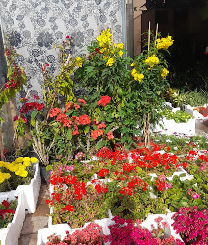 حضانة - الرياض -