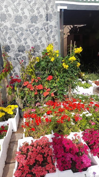 حضانة - Riyadh 12471