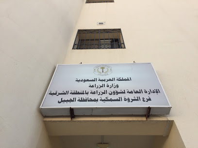 دنت الميناء التجاري لصيد الأسماك - الجبيل - +966 13 362 3796