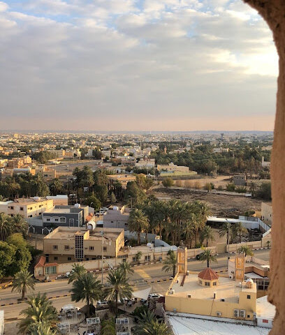 نجم الركايب لتأجير السيارات - يشيد -