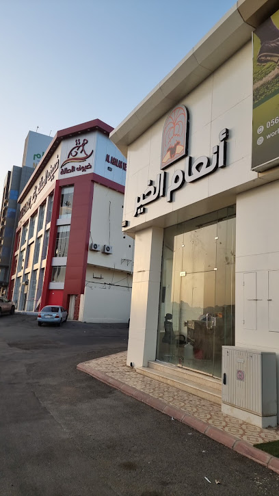 انعام الخير - Saudi Arabia|Hail 55421|6999