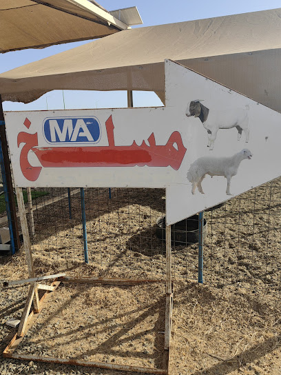 مسلخ ينبع الصناعية - Saudi Arabia|Yanbu 46457|Aswyq|26RC+GC