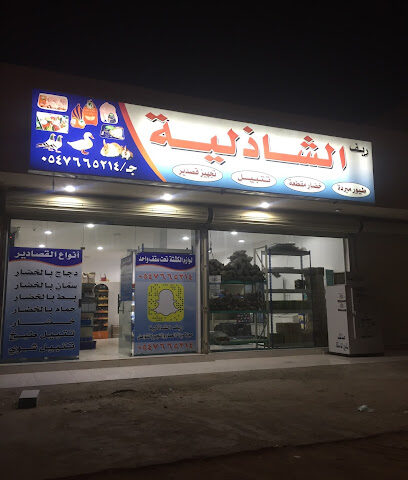 مغسلة بن حصيبان للسيارات - الدوادمي -