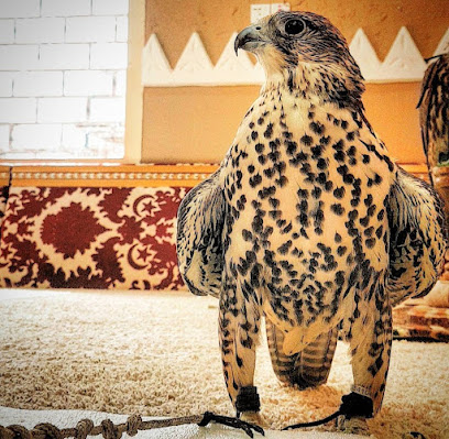 استراحة الحسانا - يشيد - +966 54 104 8899