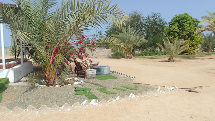 شاليه بيت المزرعة ألموج - أملج - +966 50 472 6642