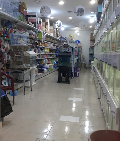سلفستر لبيع طيور والاسماك والحيوانات الاليفة ومستلزماتها - خميس مشيط - +966 53 025 3295