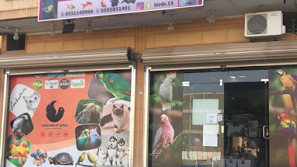 مملكة الطيور - خميس مشيط - +966 55 114 9966