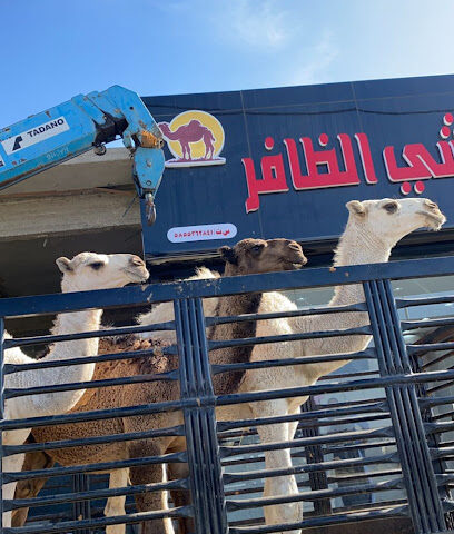 ملحمة الظافر - أبها - +966 53 536 0606