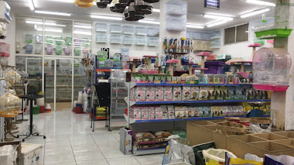 جوهرة لطيور واسماك الزينه - بريدة - +966 56 199 5182
