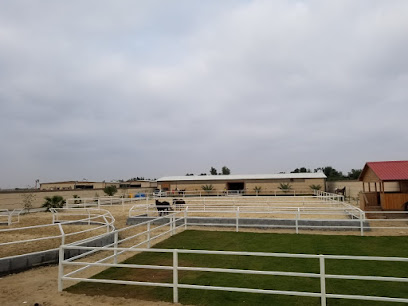 مربط العطا للخيل العربية - صفوى - +966 56 916 1106