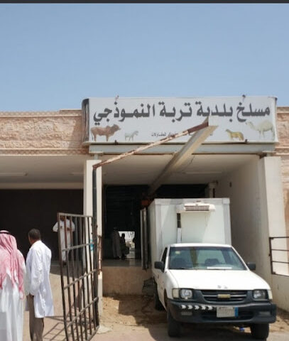 مسلخ تربة الجديد - تربه -