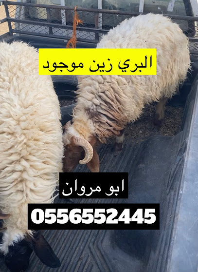 ابو مروان للذبايح -