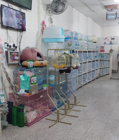 اليمام لطيور الزينة - خميس مشيط - +966 50 958 9610