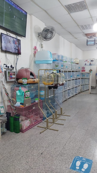اليمام لطيور الزينة - Saudi Arabia|Khamis Mushait 62461|المنتزه 2910 جدة، المنتزه، 8363