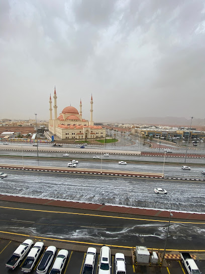 شركة ليدرز الحوادث - Saudi Arabia|Hail 55421|Alwusayta'|GM2F+495
