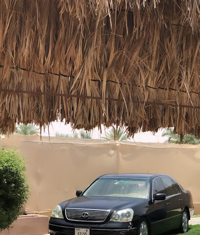 سعيدة - الدلم -