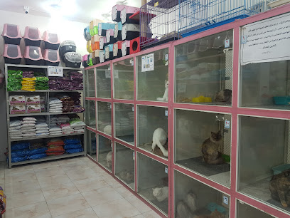 مؤسسة الذيب الأبيض للحيوانات الأليفة - خميس مشيط - +966 55 715 6000