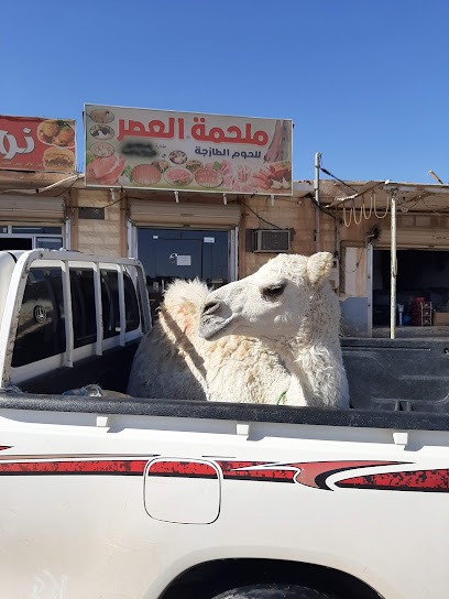 ملحمه العصر - Saudi Arabia|Zalom 72513|579W+R3M