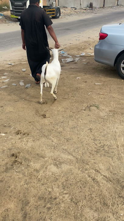 حظيرة النعيم - Saudi Arabia|6998، ميناء الملك فهد الصناعي، الجبيل 35528 5486،