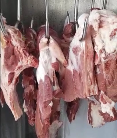 مركز لحوم تعاونية الأسرة - بريدة - +966 55 855 8870